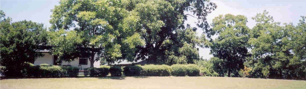 Mitchell Family farm banner